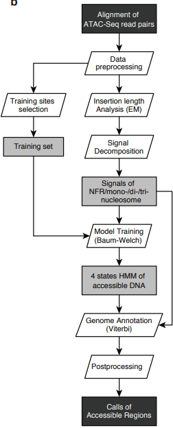 ATAC-seq 피크 호출