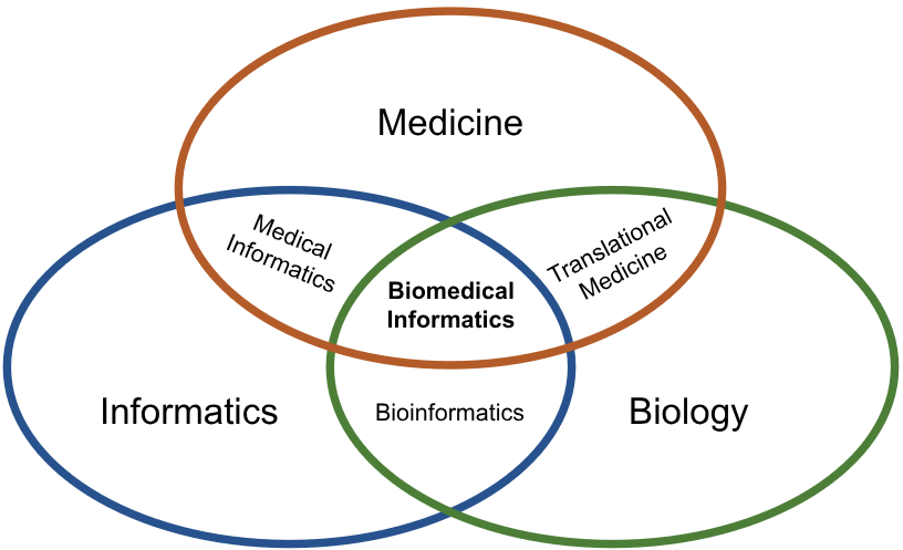 의생명정보학의 학문적 위치