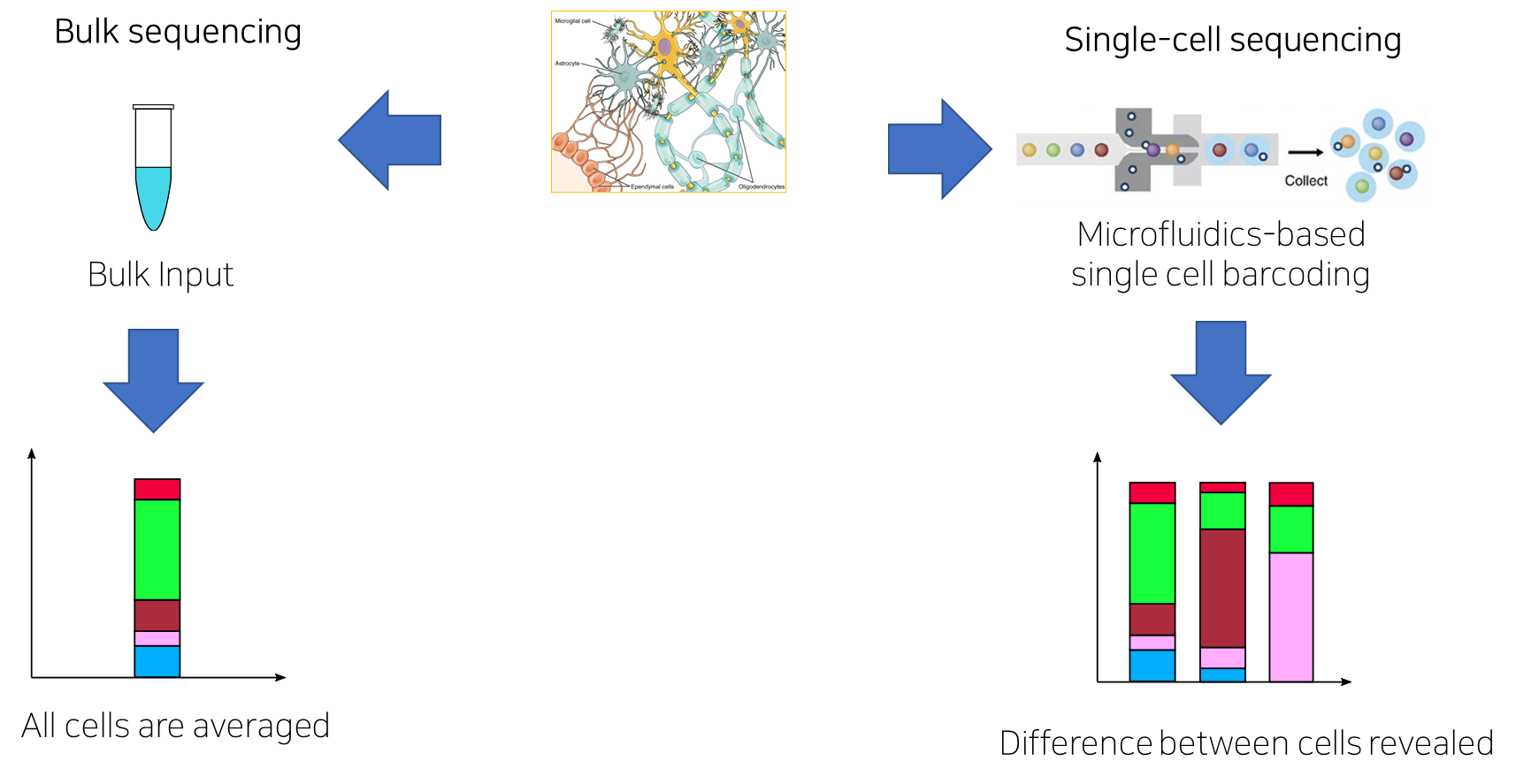 벌크와 단일세포 RNA-seq 비교