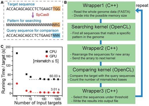 Cas-OFFinder 알고리즘