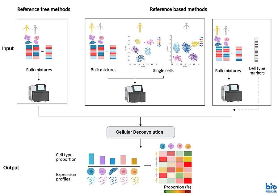 세포 디콘볼루션 원리