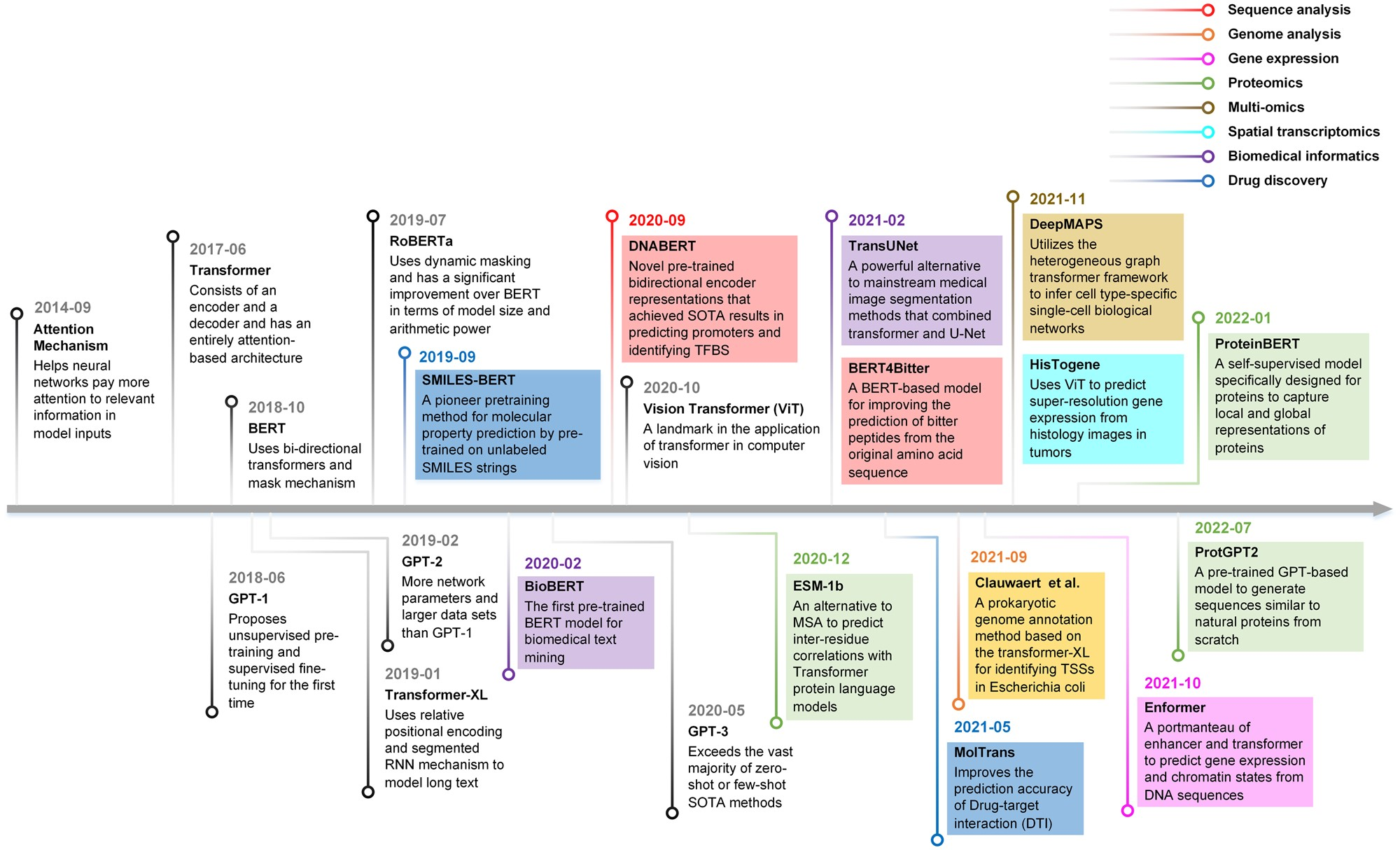 DNA 언어 모델의 개념