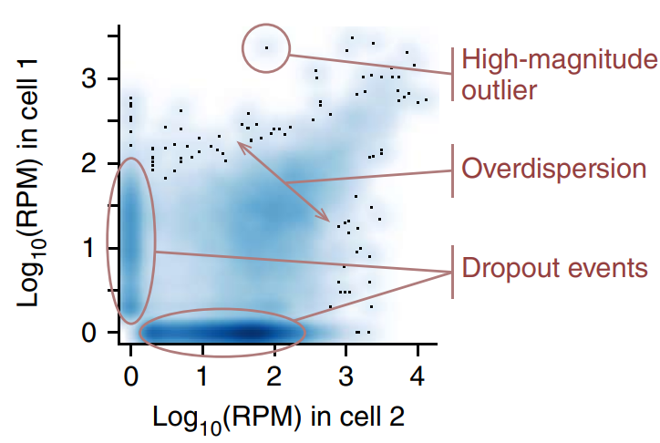 단일세포 데이터의 드롭아웃과 과대산포