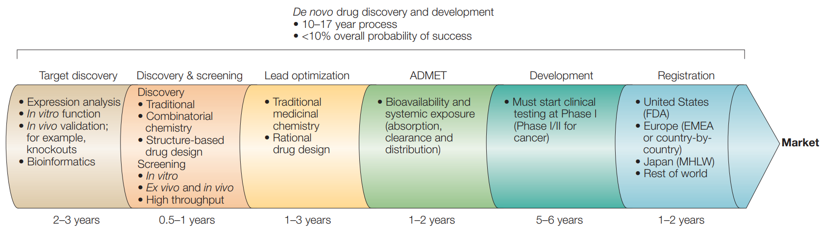 신약 개발 과정