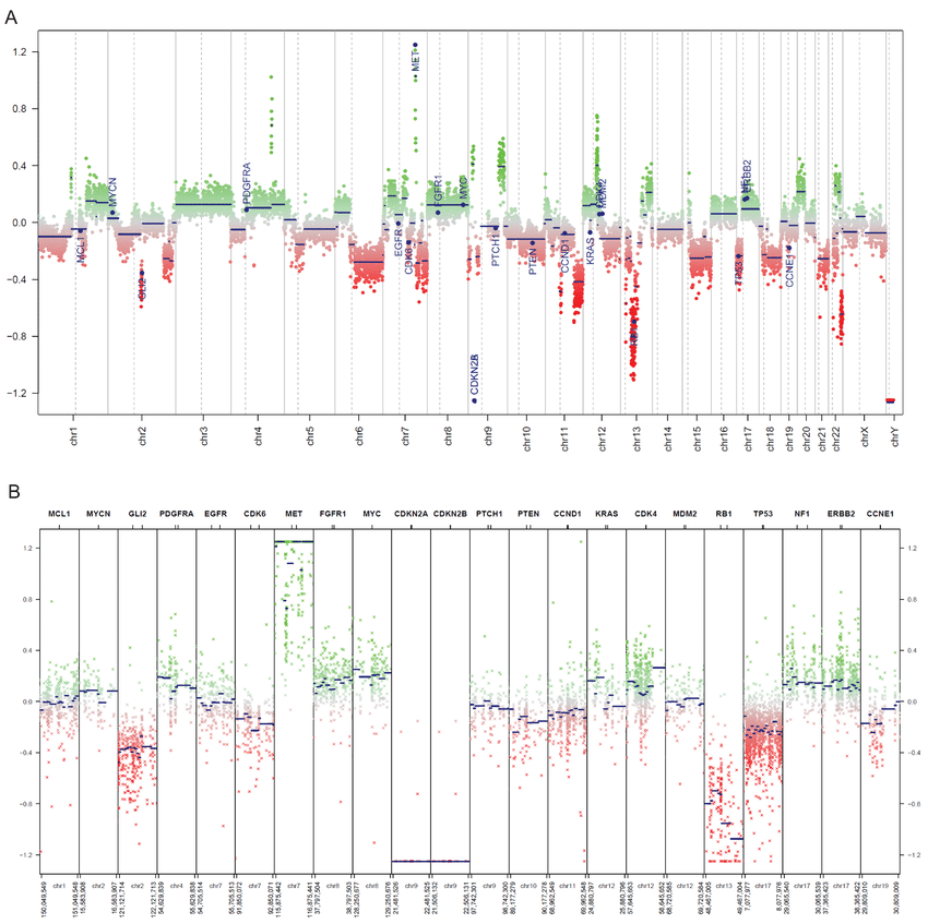 국소 증폭과 LOH
