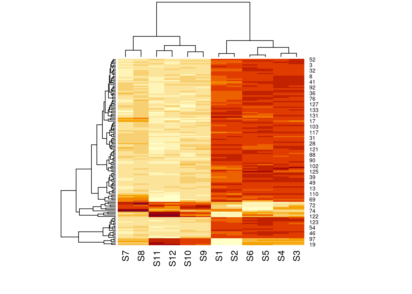 유전자 발현 히트맵