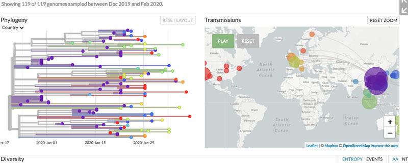 GISAID COVID-19 계통발생 개요