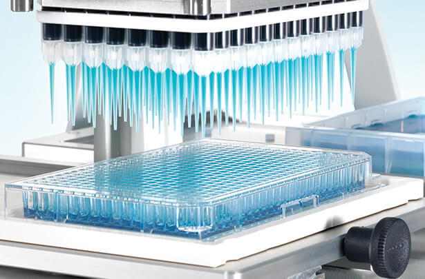 고처리량 스크리닝 시스템