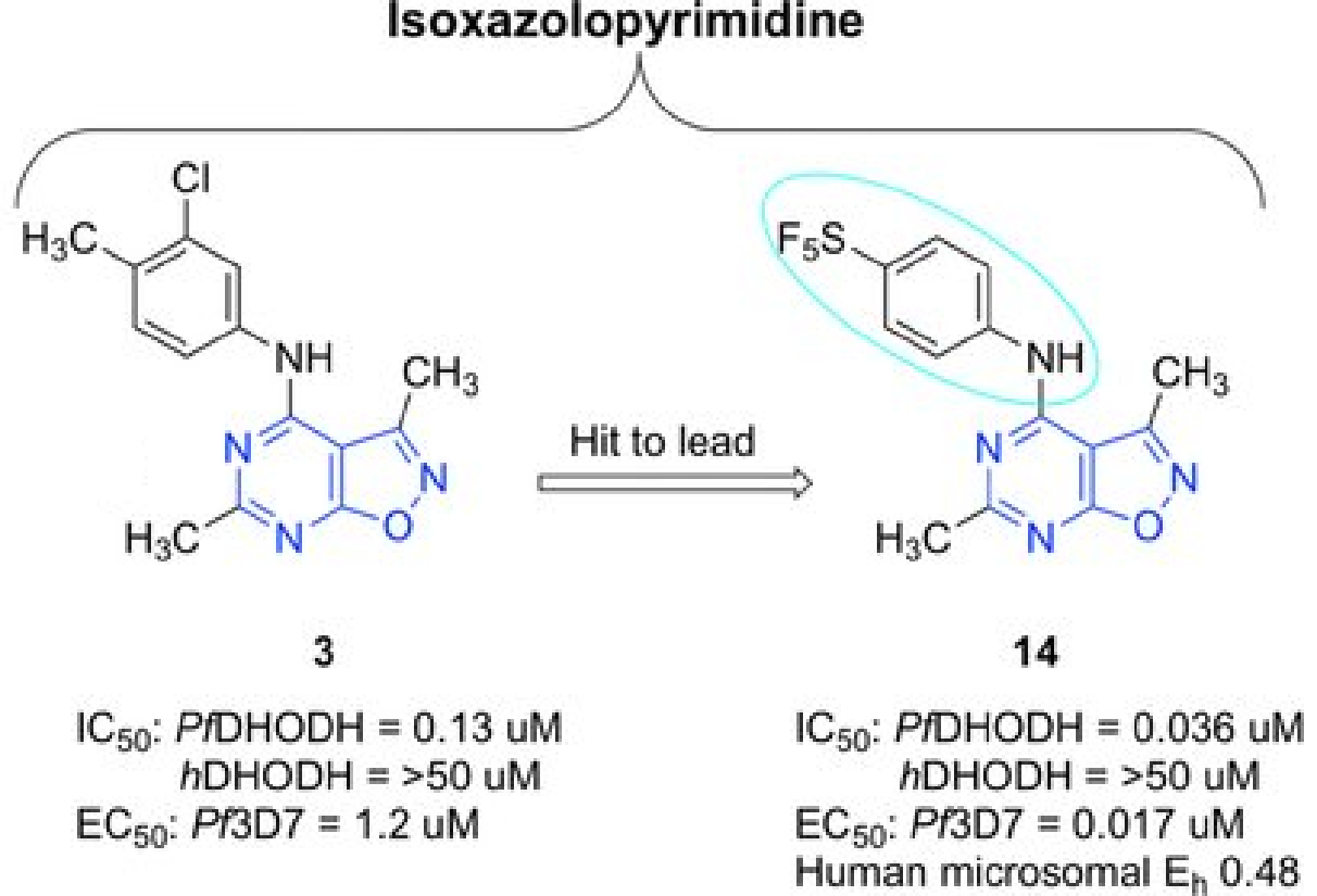 히트에서 리드로의 전환