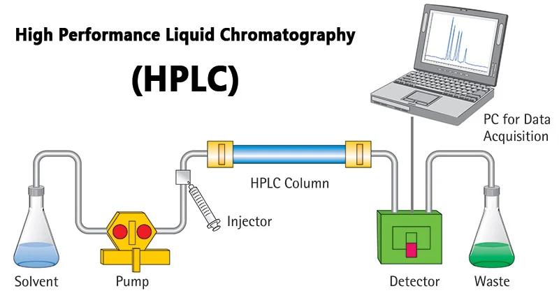 HPLC 시스템