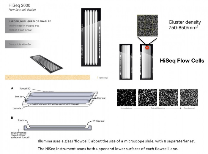Illumina 플로우 셀 세부사항