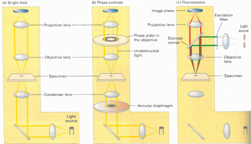 주요 이미징 기술
