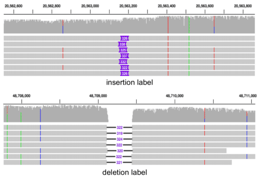 대규모 삽입/결실