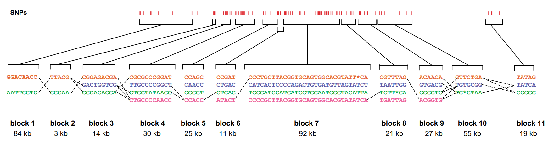 연관 불균형 블록
