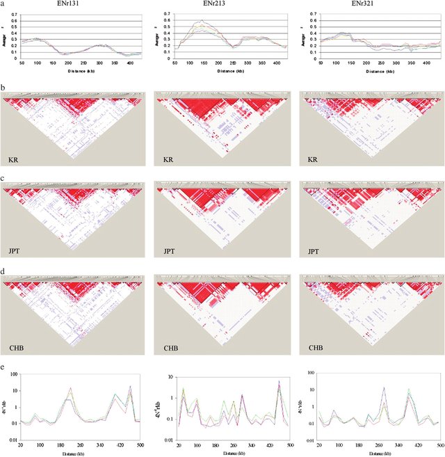 한중일 연관 불균형 구조