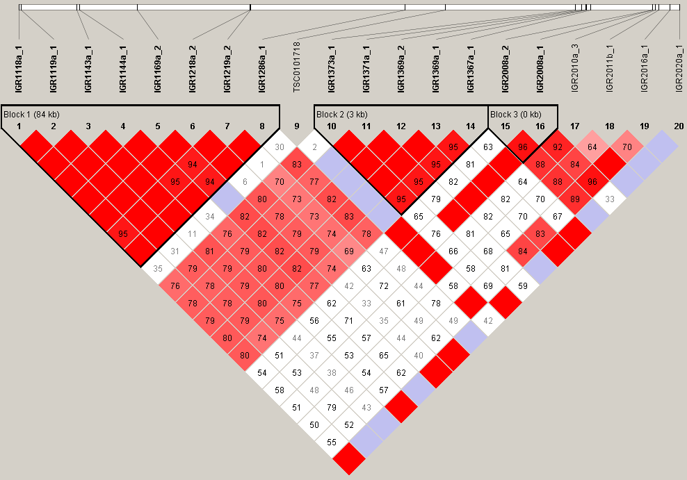 연관 불균형 구조
