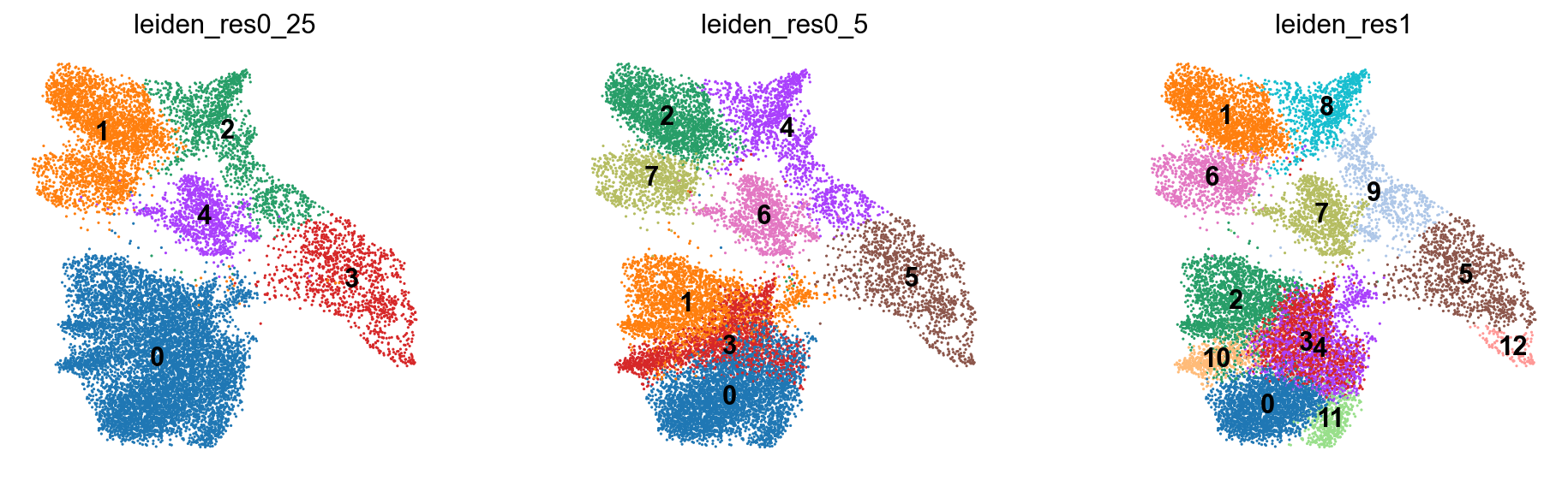 Leiden 다양한 해상도