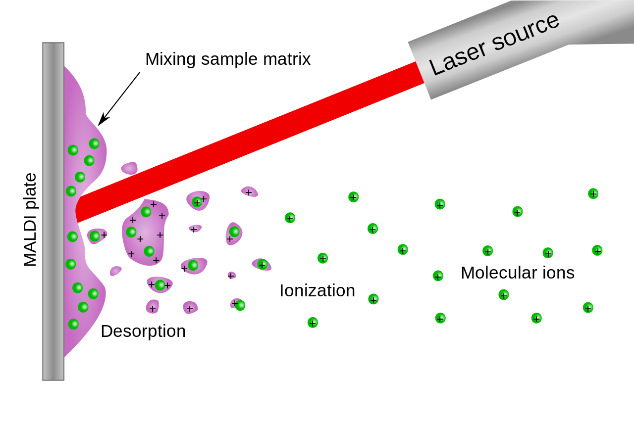 MALDI 원리