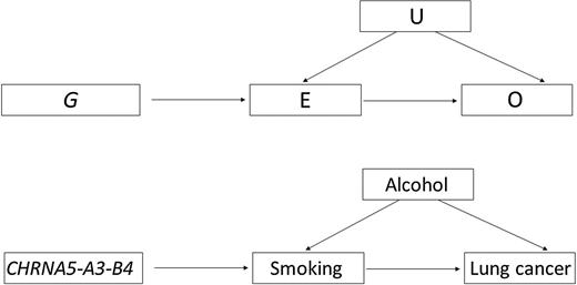 멘델리안 무작위배정