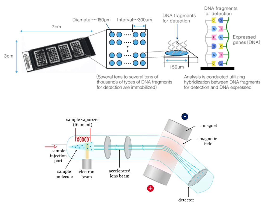 마이크로어레이와 질량분석법