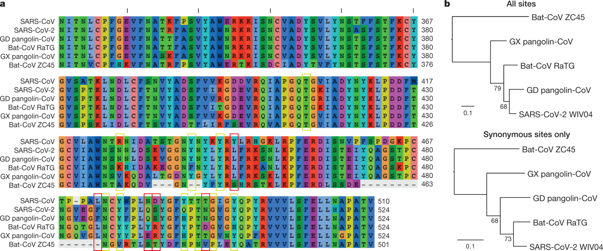 다중샘플 정렬 COVID-19 계통수