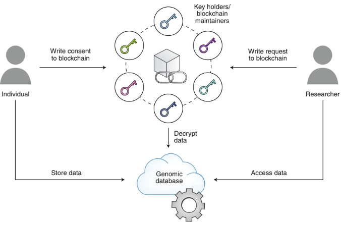 Nebula Genomics의 블록체인 기반 시스템