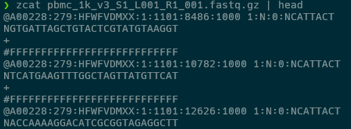 단일세포 FASTQ 파일 미리보기 Read1