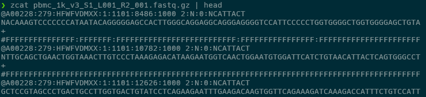 단일세포 FASTQ 파일 미리보기 Read2