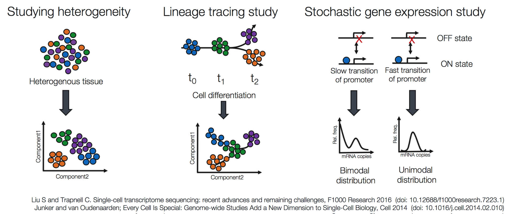 단일세포 RNA-seq 응용