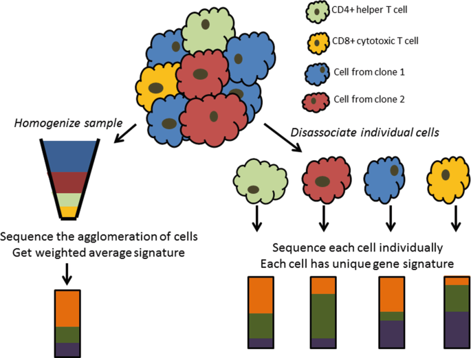 단일세포 RNA-seq 개요
