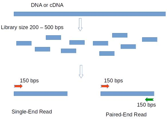 싱글 엔드와 페어드 엔드