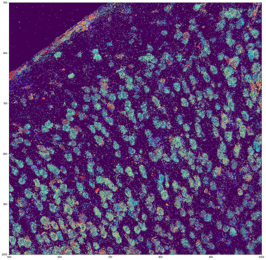 공간 전사체학 종합 이미지