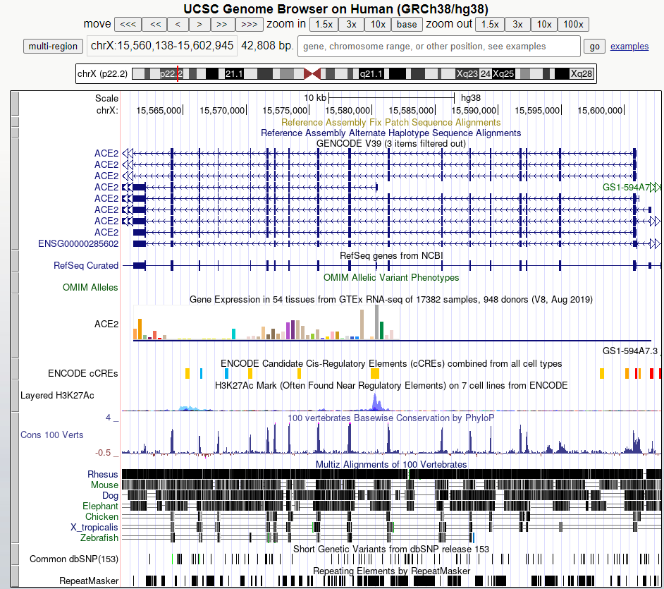 UCSC Genome Browser