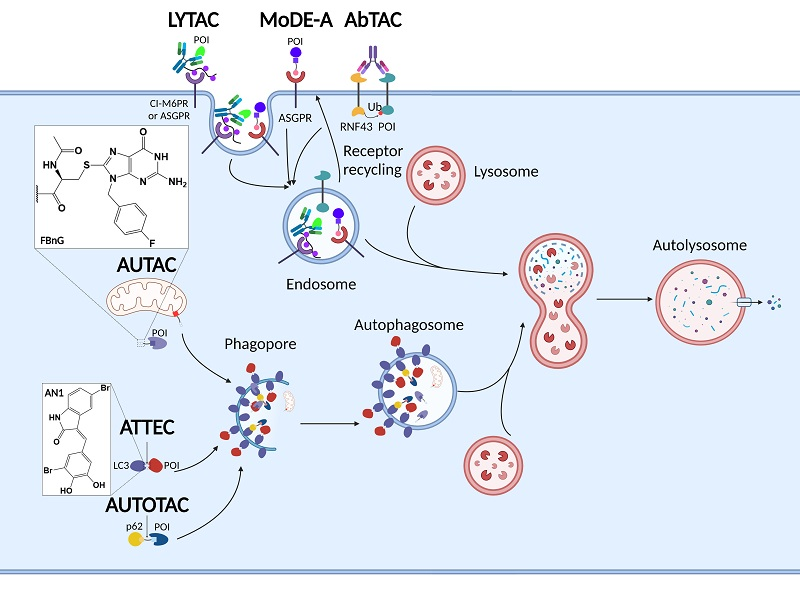 다양한 TAC 기술